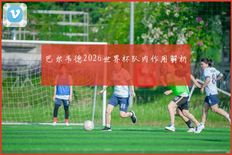 巴尔韦德2026世界杯队内作用解析