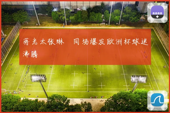 蒋光太张琳芃同场爆发欧洲杯球迷沸腾