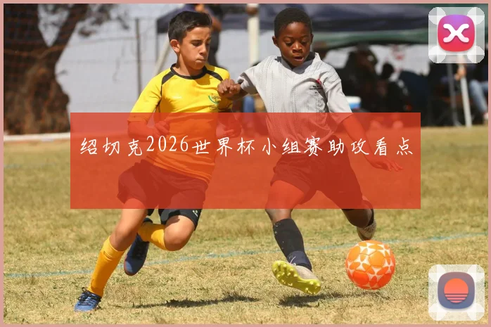 绍切克2026世界杯小组赛助攻看点