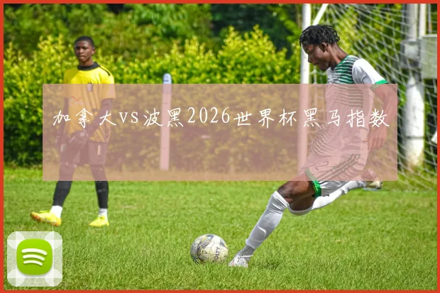 加拿大vs波黑2026世界杯黑马指数